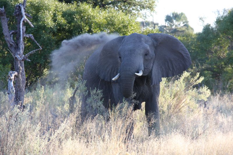 Südafrika & Botswana