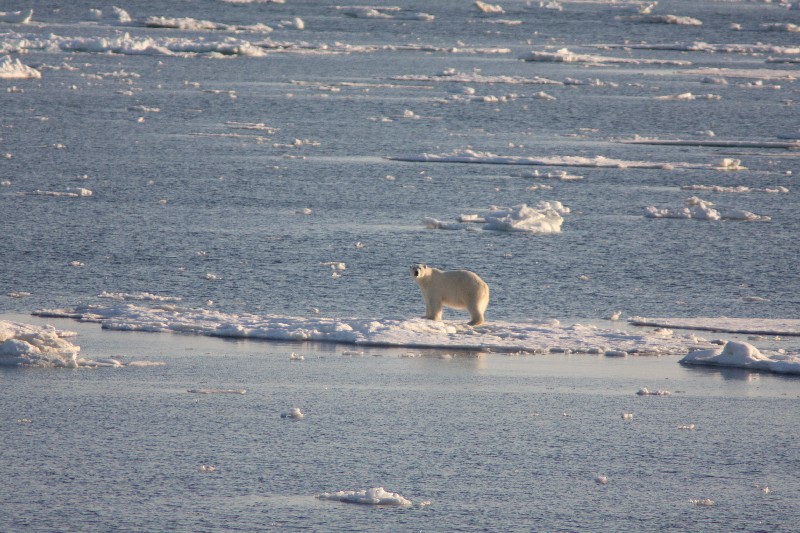 Spitzbergen